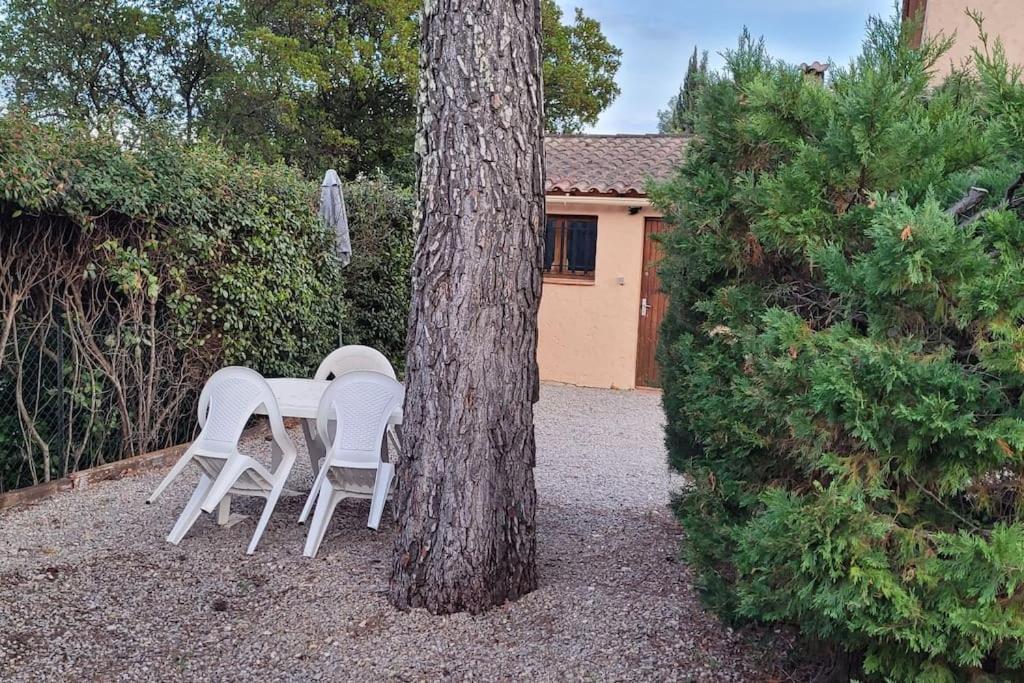 Appartement Dans Une Villa Au Coeur De La Provence 普罗旺斯地区特朗 外观 照片