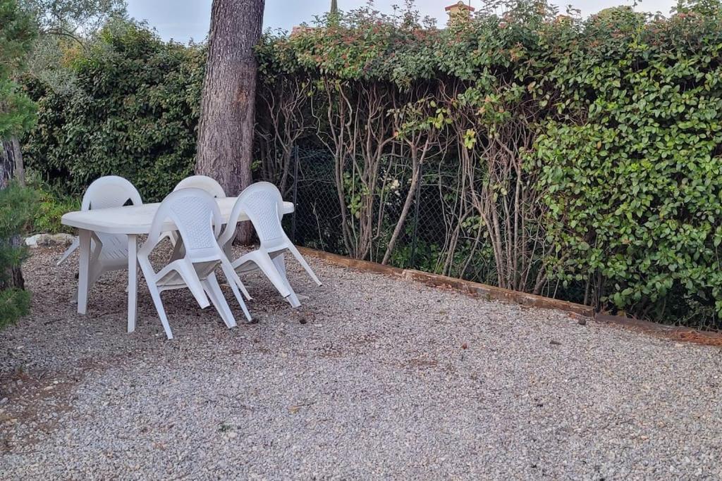 Appartement Dans Une Villa Au Coeur De La Provence 普罗旺斯地区特朗 外观 照片